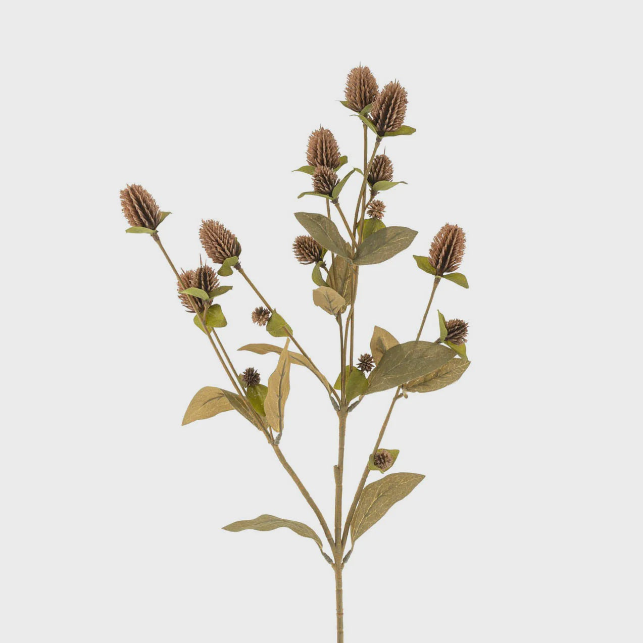 The Globe Amaranth Spray by Indaba features a sculptural stem adorned with clusters of brown flower buds and green leaves, set against a plain white background to highlight the beauty of realistic plants.