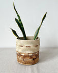 A snake plant with three tall green leaves sits in the Amsha - Faire Mkongo Plant Basket, a woven natural and brown basket planter, displayed on a light beige surface against a white background.