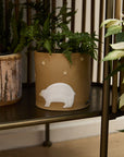 A green fern sits in the Accent Decor Antarctica Pot, a brown ceramic planter featuring a white bear and star design. The pot rests on a metal shelf beside another plant in a rustic container.