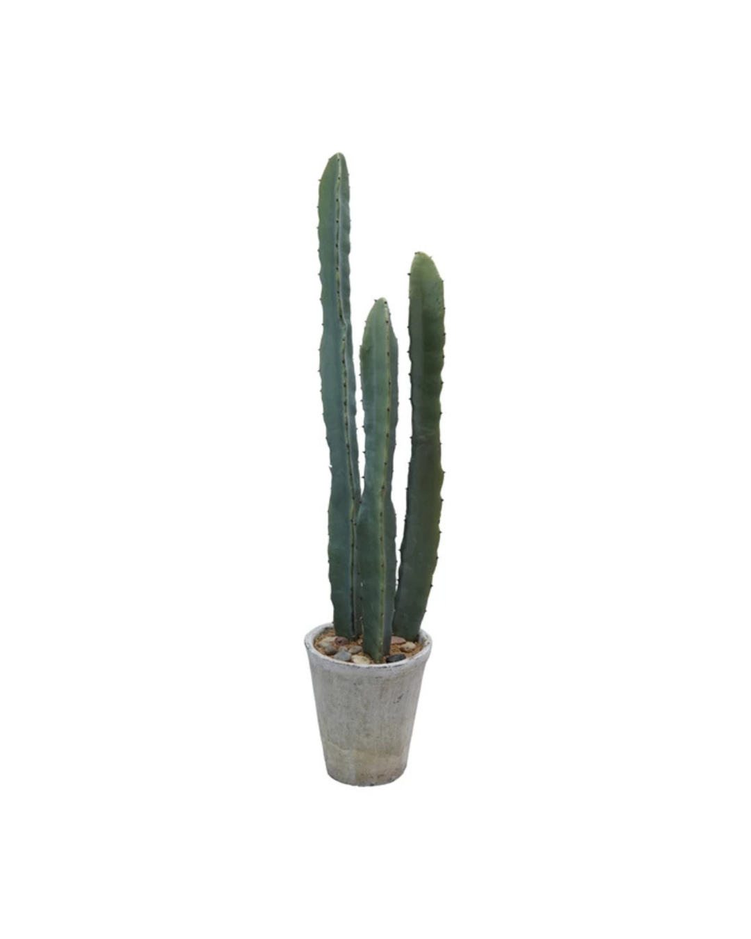 The Creative Co-op Faux Euphorbia Cactus features tall, slender green arms in a textured grey cement pot with pebbles, set against a white background for a serene aesthetic.