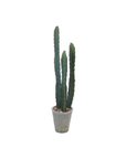 The Creative Co-op Faux Euphorbia Cactus features tall, slender green arms in a textured grey cement pot with pebbles, set against a white background for a serene aesthetic.