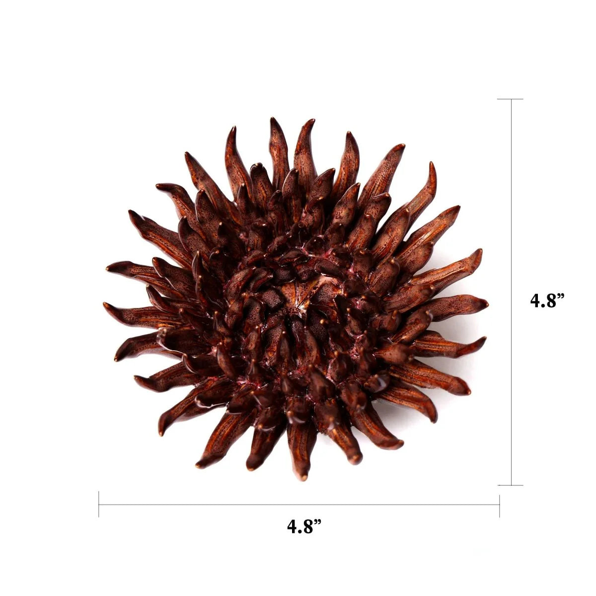 The Chocolate Mum by Chive Ceramics (thru Faire) is a dark brown, spiky round decor accent resembling ceramic flowers, measuring 4.8" tall and wide. Shown on a white background with measurement lines—perfect for home decoration.