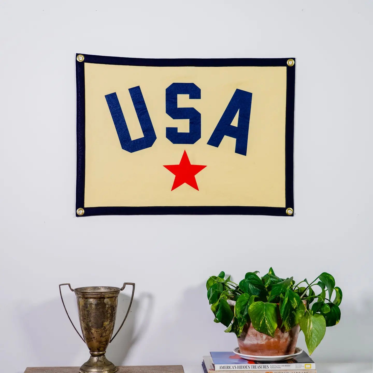An 18x24 USA Camp Flag by Oxford Pennant with bold blue "USA" and a red star hangs on a white wall. Below, a silver trophy, some books, and a green potted plant complete the shelf’s home decor.