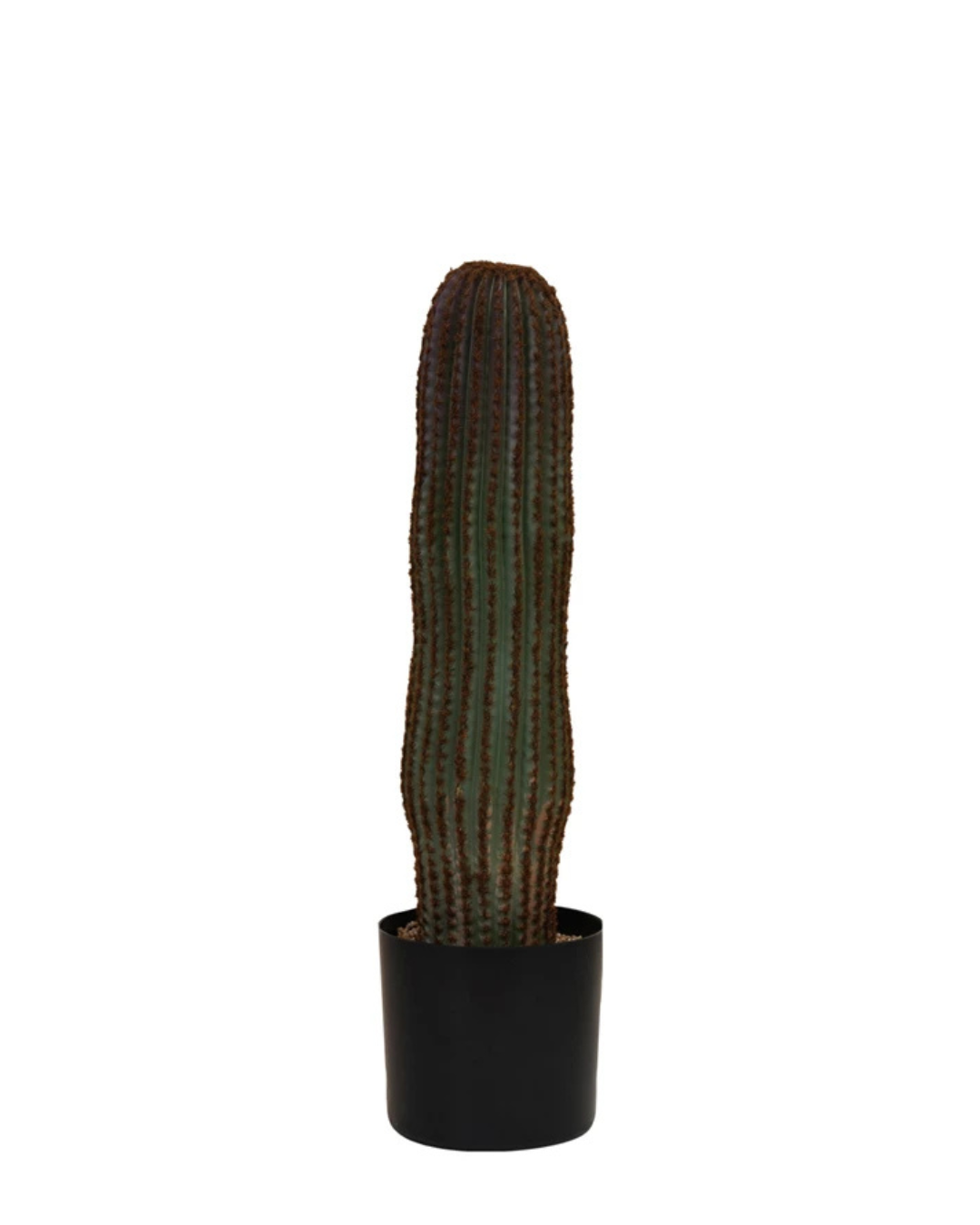 The DG0366 Faux Vatricania Cactus by Creative Co-op, a tall, ribbed green cactus with brown edges, stands in a sleek black plastic pot against a white background. At 28 inches high, it offers a striking lifelike presence without the maintenance of a real plant.