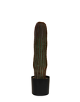 The DG0366 Faux Vatricania Cactus by Creative Co-op, a tall, ribbed green cactus with brown edges, stands in a sleek black plastic pot against a white background. At 28 inches high, it offers a striking lifelike presence without the maintenance of a real plant.