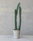 The Creative Co-op Faux Euphorbia Cactus features a tall green design with two main stems, nestled in a simple white textured pot accented with pebbles. It sits elegantly on a sleek white marble surface against a neutral gray wall.