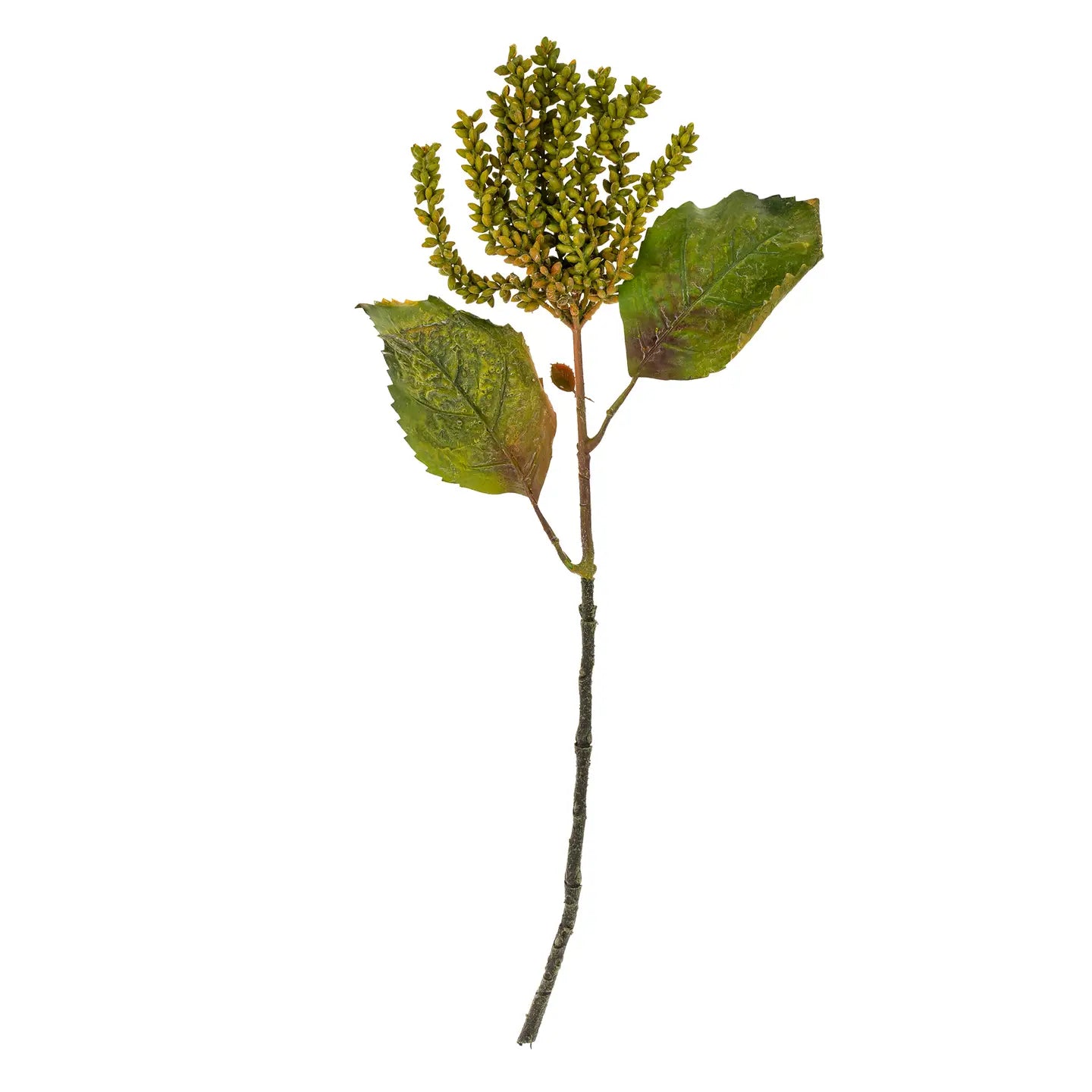 The Indaba Dripping Seed Stem is a green faux botanical featuring lush leaves and clusters of small yellowish-green buds at the top, showcased against a white background.