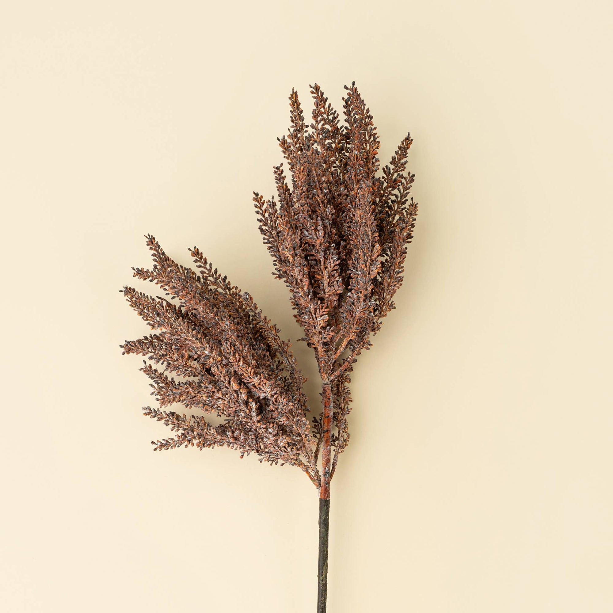 Autumn Grain Spray branch with clustered leaves, beige accent decor by Faire for Bungalow Furniture &amp; Accessories.