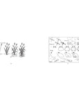 Left: Illustration of cattail plants in water. Right: Diagram of pond creatures with handwritten labels—Faire's "What To Draw and How To Draw" is the perfect drawing guide for aspiring nature artists.
