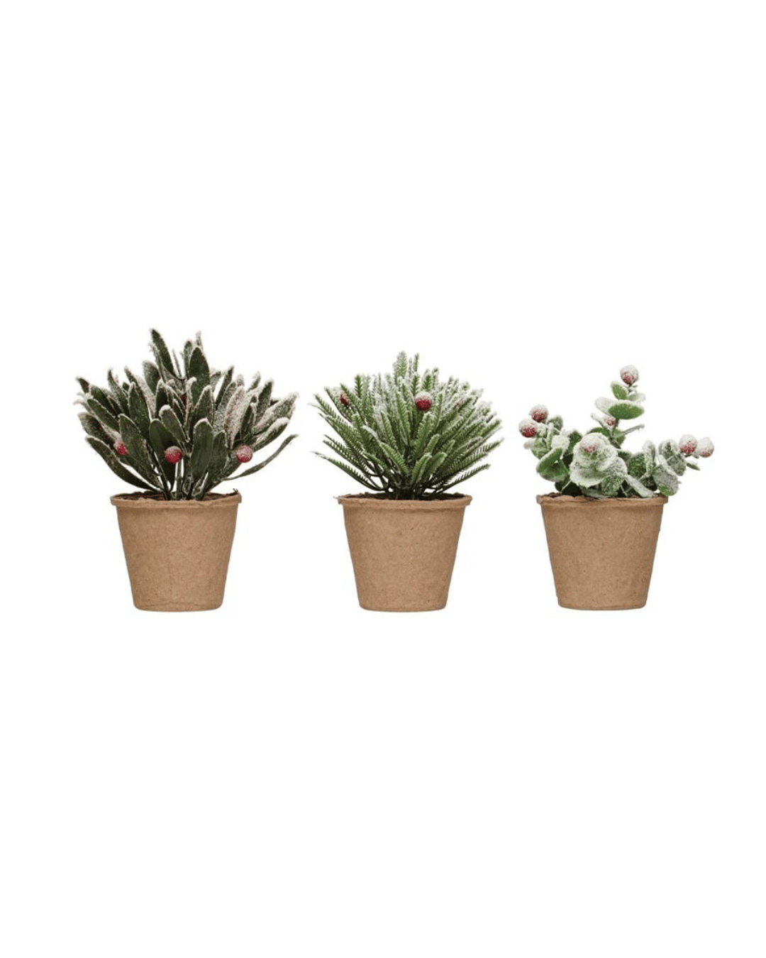 The Greens in Paper Pot by Creative Co-op features three small potted artificial plants with green leaves and red berries, nestled in simple brown paper mache pots. Dusted with snow, these faux greens boast a frosted, wintry look, arranged in a horizontal row against a plain white background.