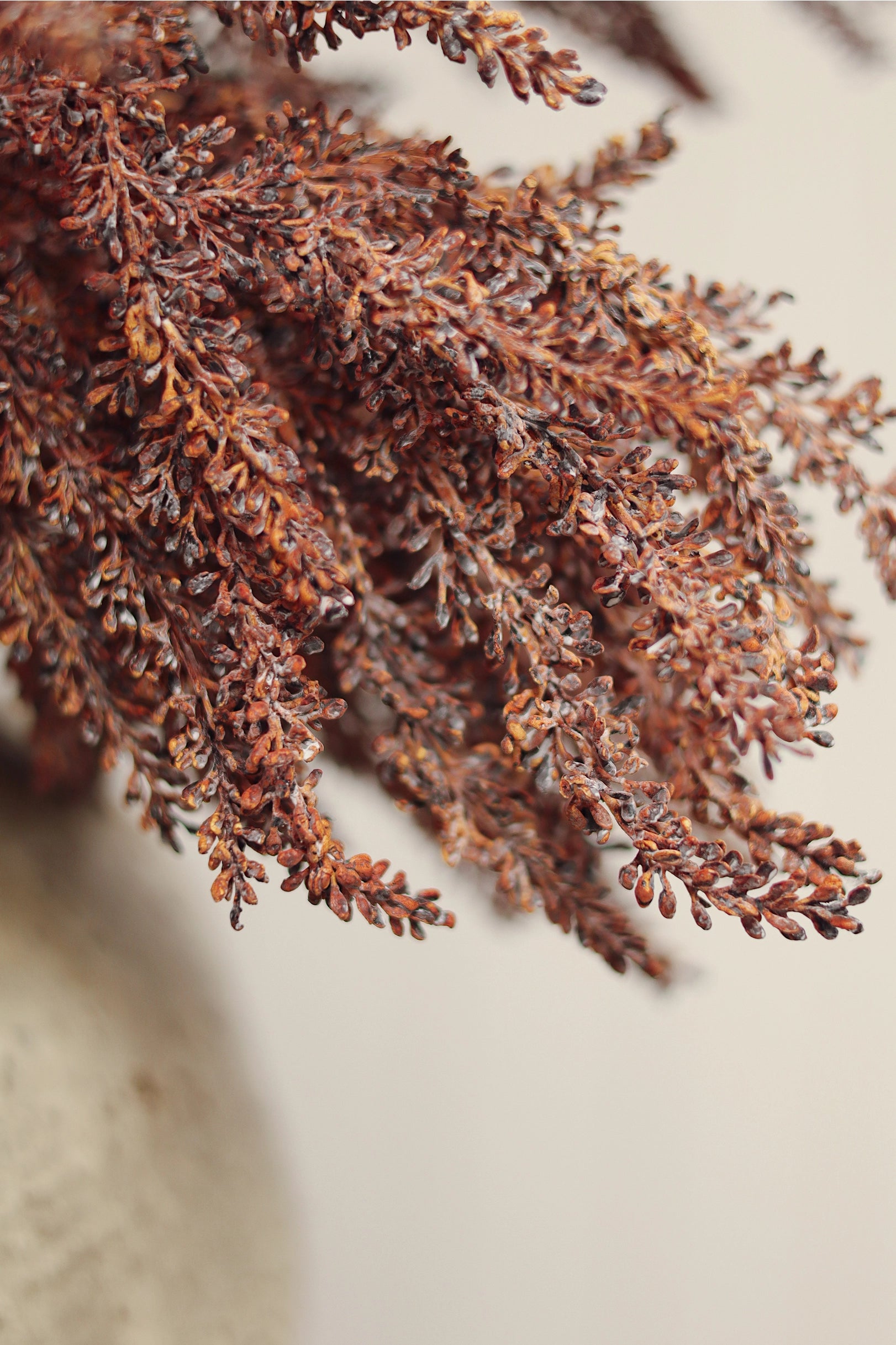 Autumn grain spray with needle-like leaves from Faire, ideal for textured home decor at Bungalow Furniture &amp; Accessories.