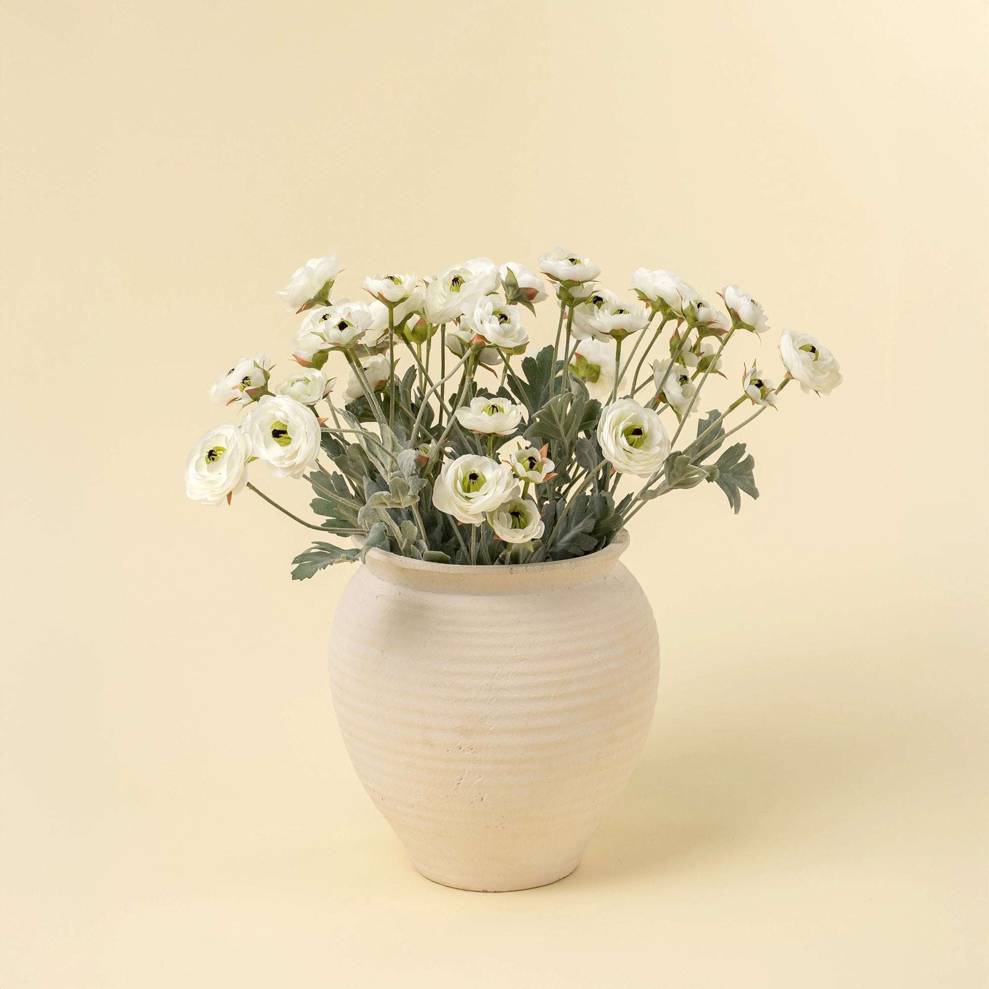 A cream-colored vase displays Indaba’s Ranunculus Spray, White—realistic faux white blooms with green stems and leaves—set against a pale beige background.