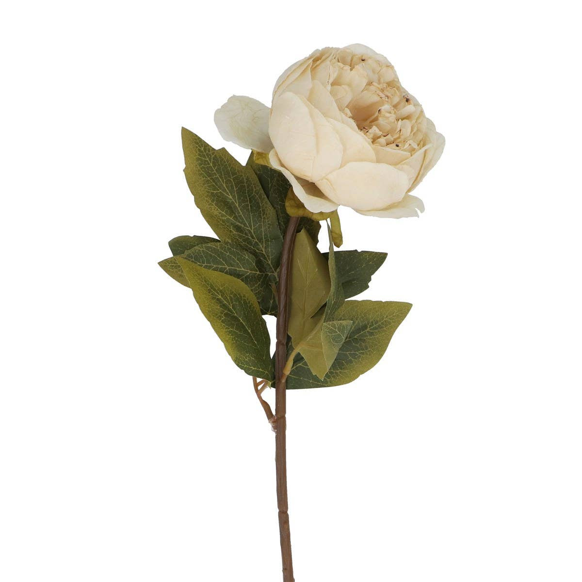 Cream peony stem with green leaves on a brown stem by Faire, elegant floral accent for any room.