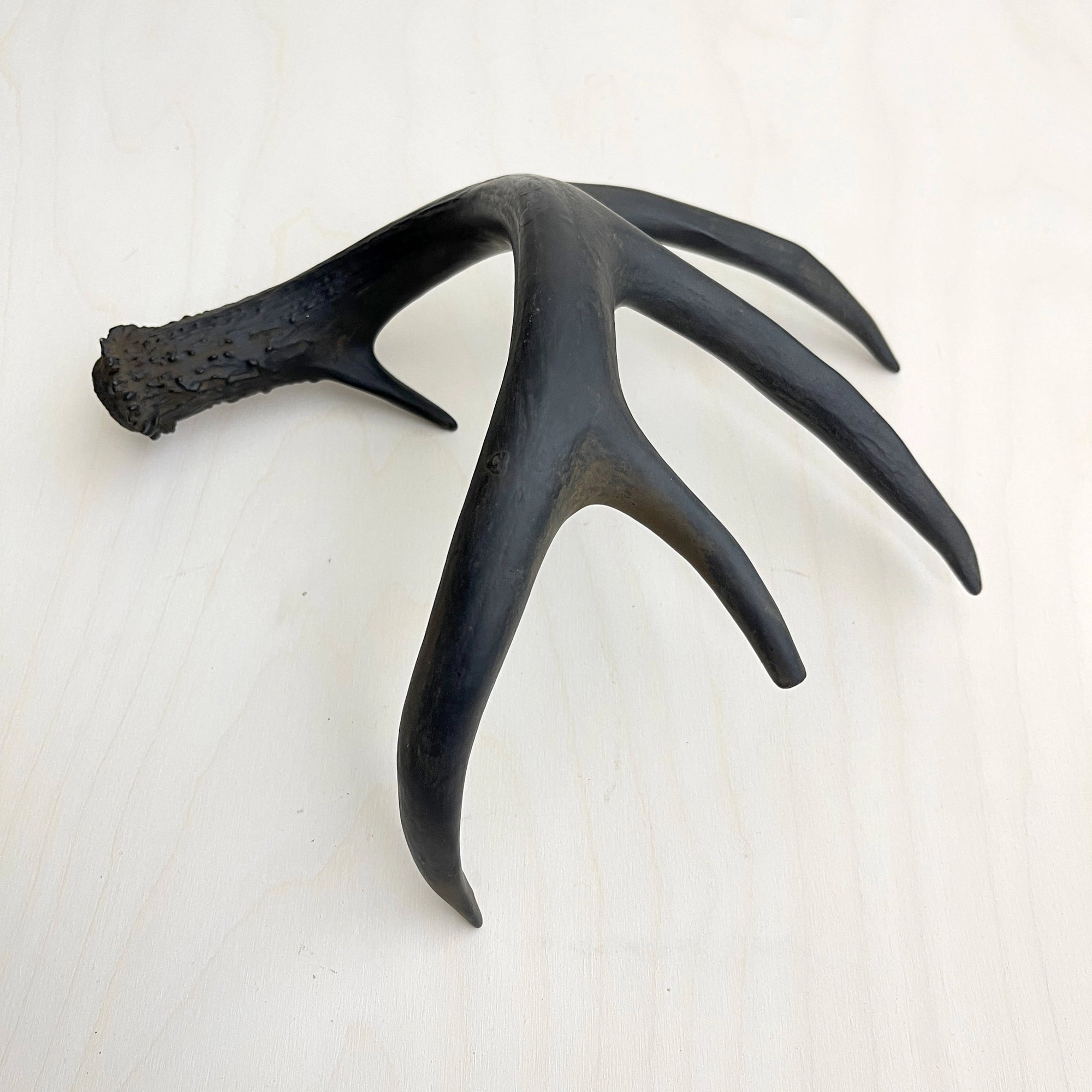 Gilded antler accent with four prongs on light wood, by Faire, natural elegance for home decor.
