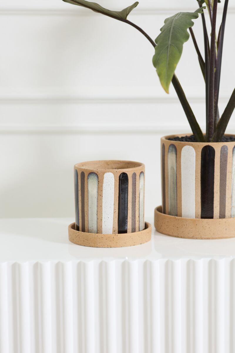 The Truman Pot/Saucer 6x5.5" by Accent Decor, featuring hand-painted vertical stripes, sits on a white textured surface—one pot filled with a leafy plant and the other empty—against a white background.