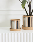 The Truman Pot/Saucer 6x5.5" by Accent Decor, featuring hand-painted vertical stripes, sits on a white textured surface—one pot filled with a leafy plant and the other empty—against a white background.