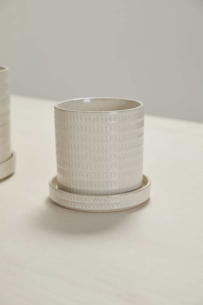 The Morse Pot w/Saucer by Accent Decor features a textured, off-white ceramic design with subtle vertical ridges and a slightly glossy finish, resembling an elegant orchid planter and includes a matching round saucer.