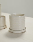 An Accent Decor Morse Pot /Saucer in cream with a drainage hole rests on a light-colored table, while another similar pot is partially visible in the background.