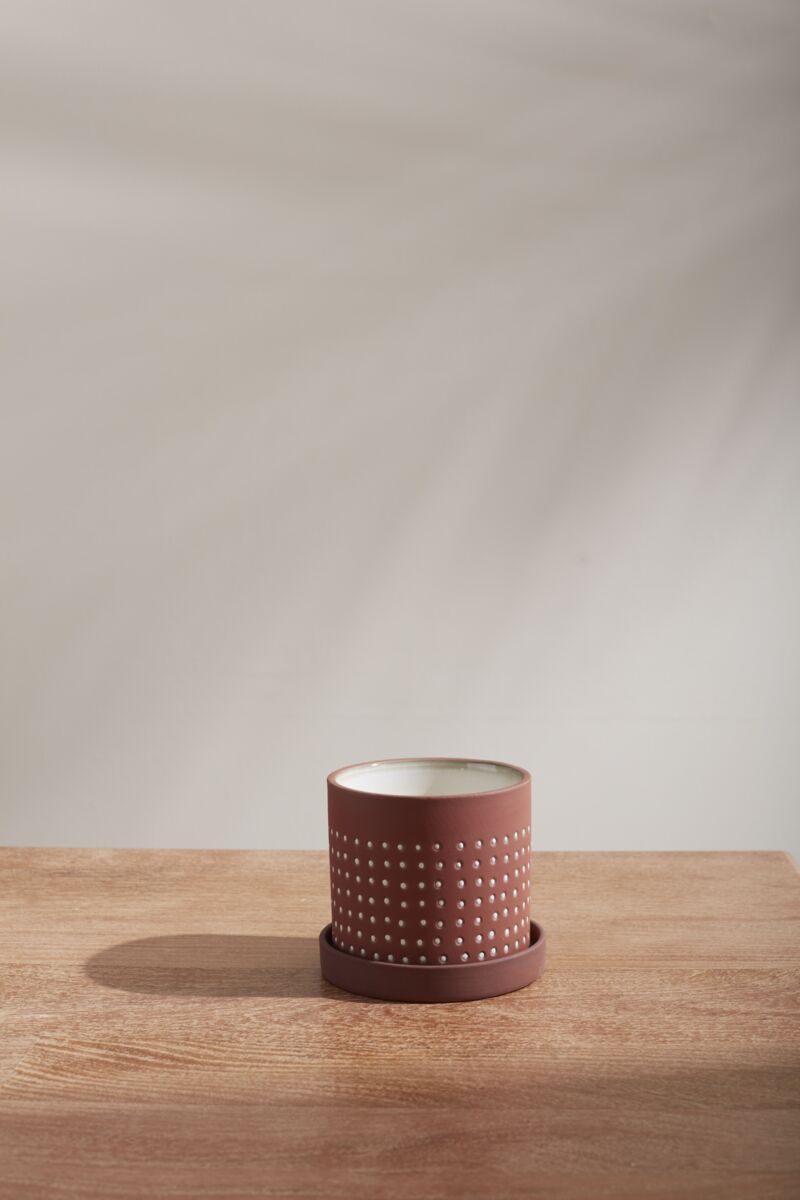 The Accent Decor Salamanca Pot with Saucer S, a small round brown ceramic pot with white dots and drainage hole, sits on a wooden surface, soft light casting shadows on the plain light-colored wall behind it.