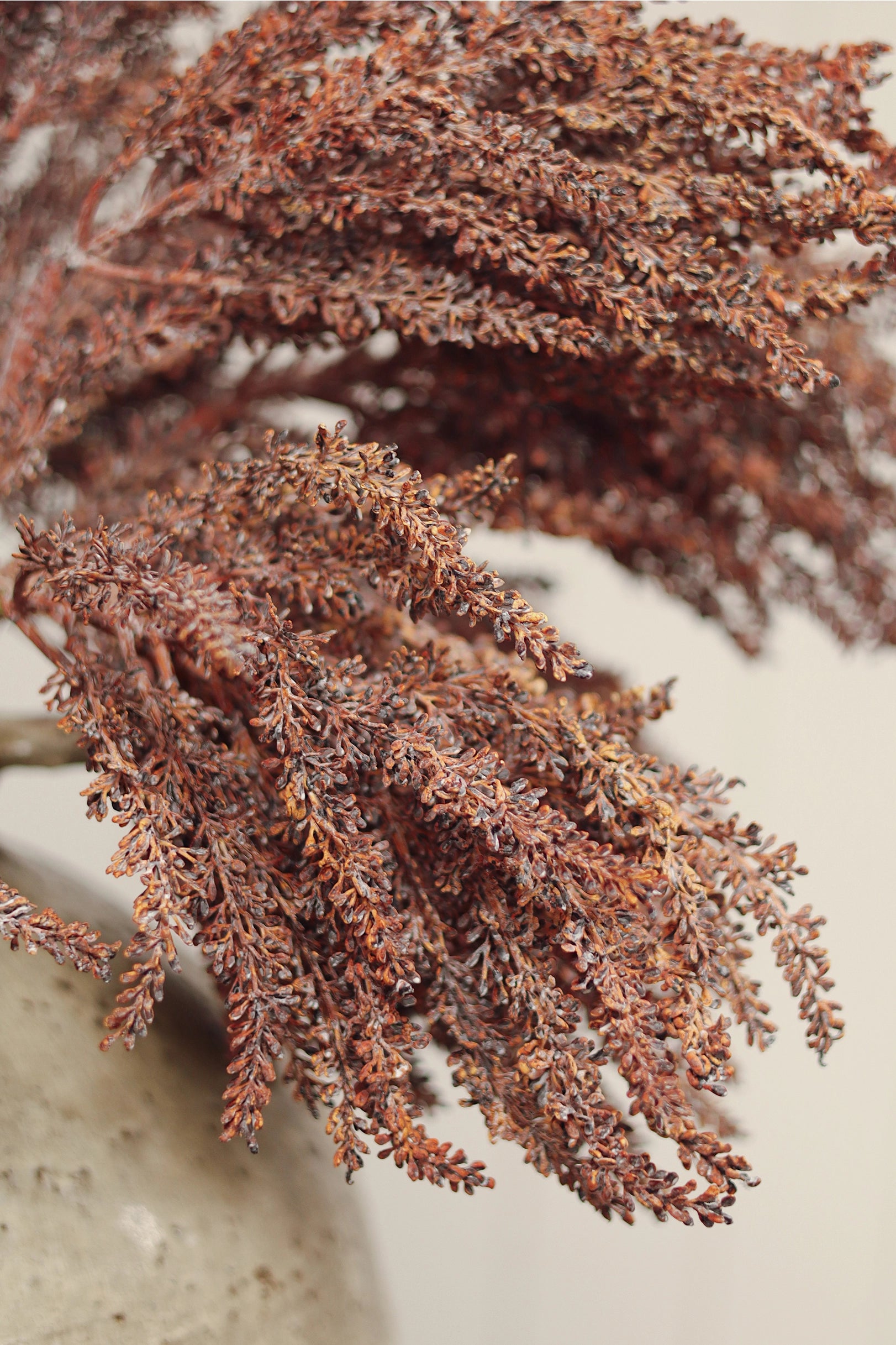 Autumn Grain Spray stems in a vase by Faire, adding textured decor to neutral home settings.