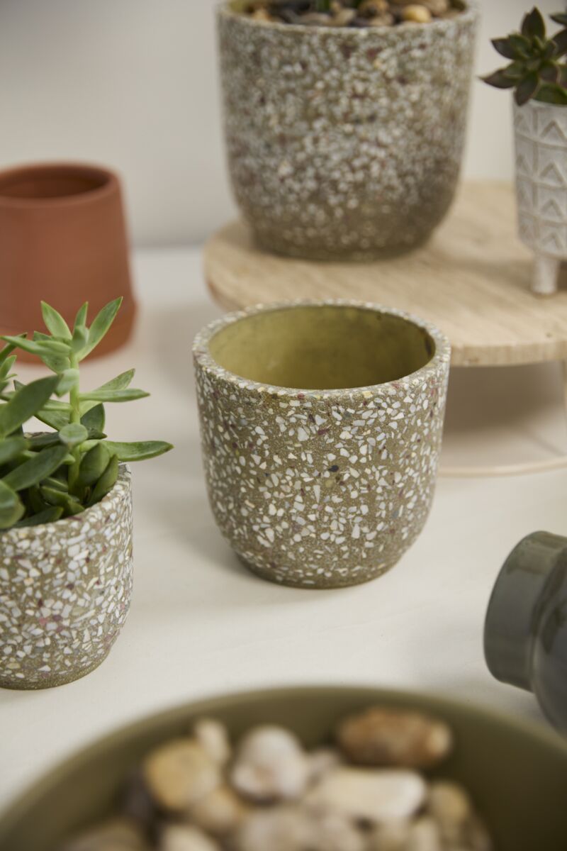 The Accent Decor Verde Pot is a speckled green ceramic planter shown close-up with small succulents, displayed on a light surface alongside a round wooden tray and neutral terrazzo pots in the background.