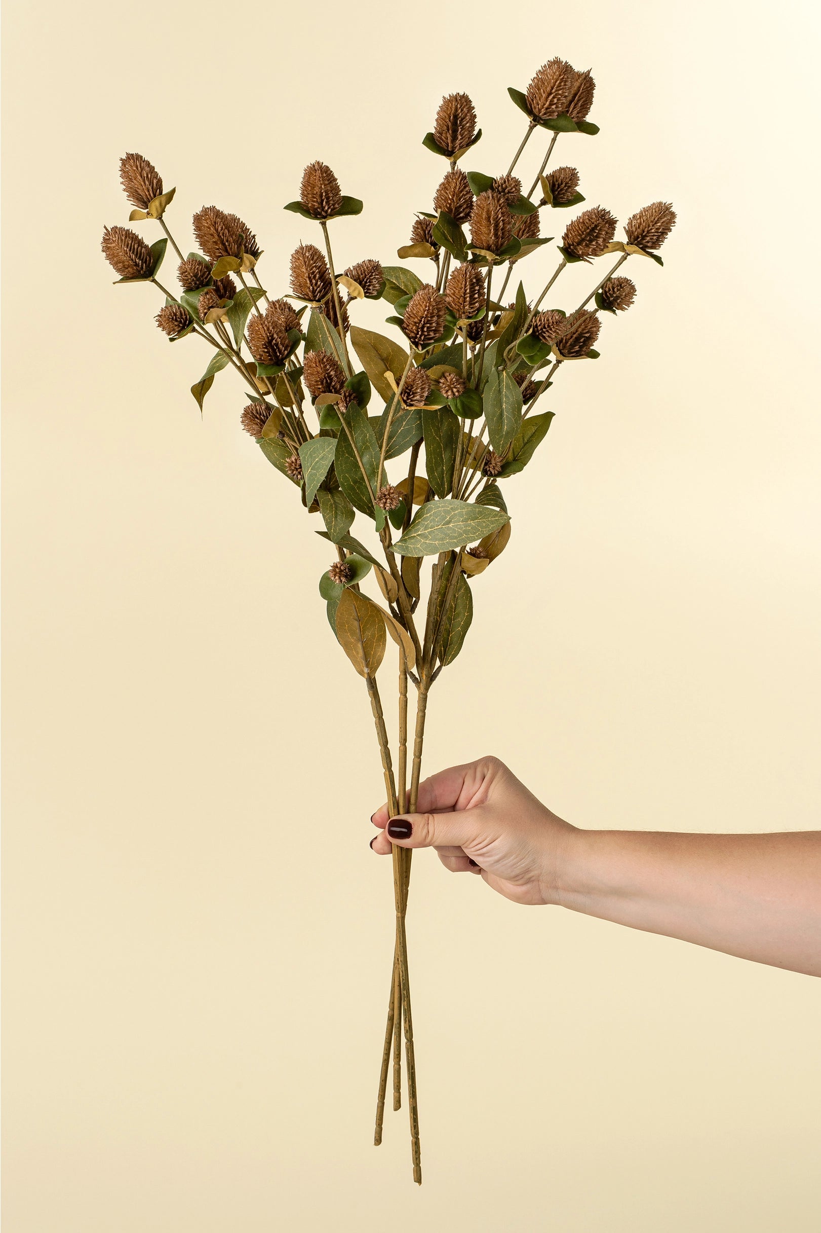 A hand with dark nail polish holds Indaba's Globe Amaranth Spray, featuring dry brown thistle-like faux botanicals and green leaves, set against a plain beige background.