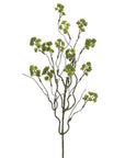 The 23" Irish Moss Spray by Faire features multiple thin, dark stems topped with clusters of green foliage—ideal for adding natural charm to your home decor against a plain white background.