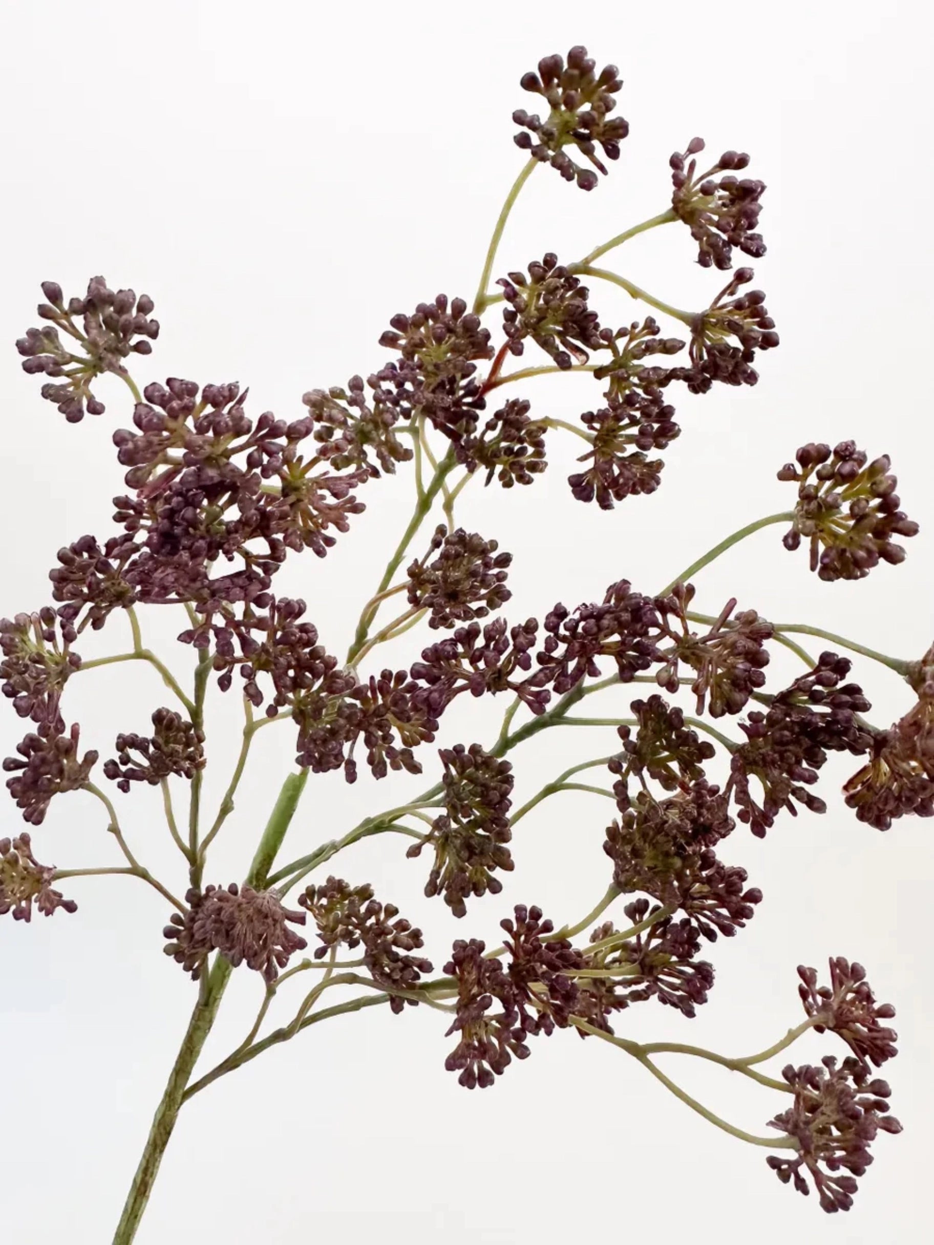 Purple artificial sedum spray with small clustered blooms on green stems, Faire Faux, 16 inches, Bungalow Furniture.
