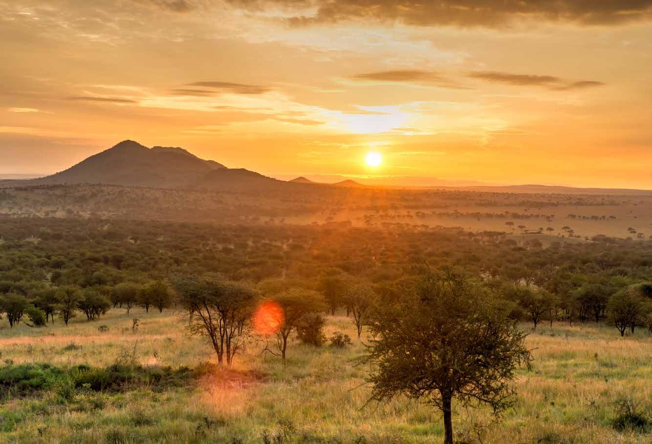 Warm sunlight bathes a grassy savanna at sunrise, capturing the serene beauty highlighted in Simon & Schuster Inc.’s "150 National Parks You Need"—a perfect scene for travelers seeking inspiration in nature’s wonders.