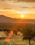 Warm sunlight bathes a grassy savanna at sunrise, capturing the serene beauty highlighted in Simon & Schuster Inc.’s "150 National Parks You Need"—a perfect scene for travelers seeking inspiration in nature’s wonders.