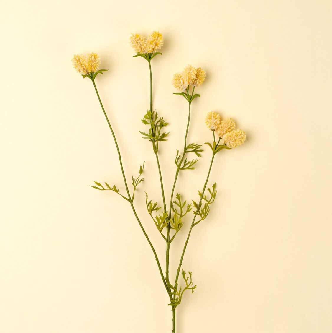 The Indaba Dandelion Pom Pom Spray features a single stem with thin green branches and clusters of pale yellow flowers—ideal as accent decor against a light beige background.