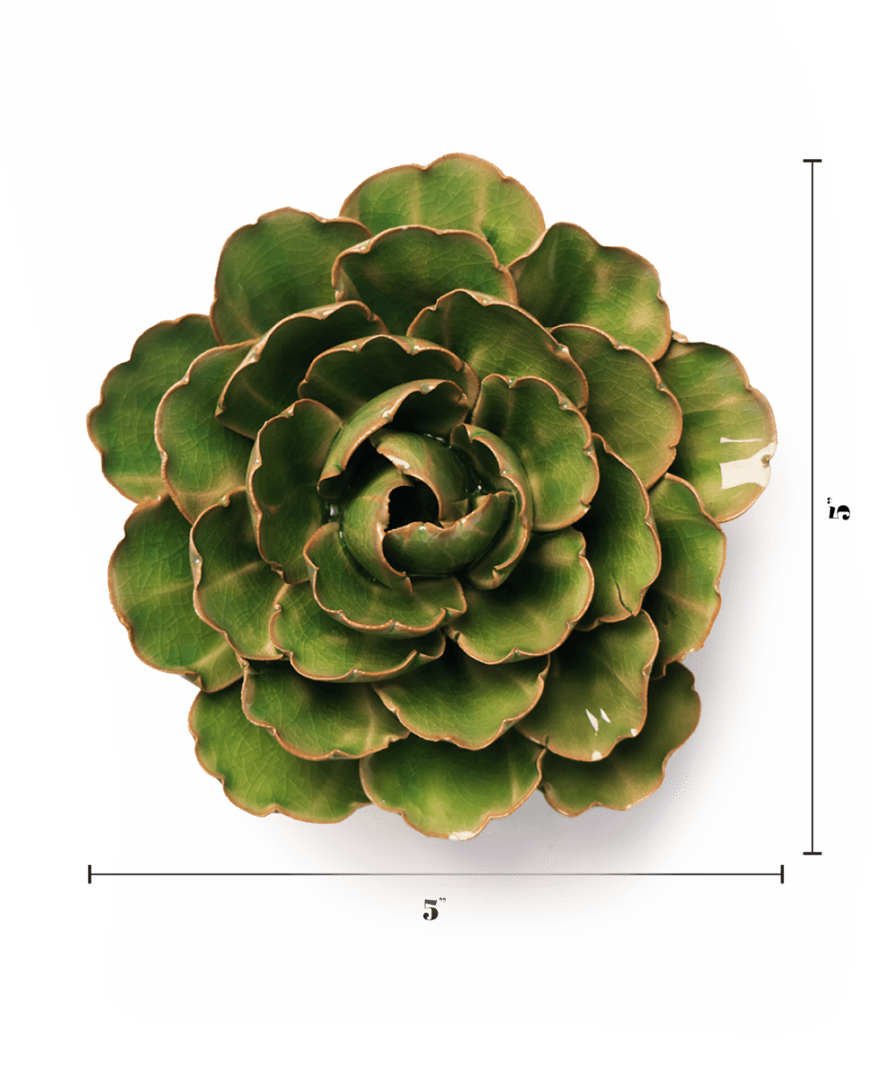 Top view of the Accents Peony by Chive Ceramics (thru Faire), a green succulent-inspired ceramic wall flower with scalloped edges and a 5-inch rosette shape, perfect as unique modern wall art decor against a white background with measurement lines.