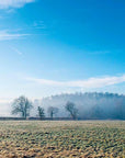 A Jane Austen Year by Random House features a misty winter morning with frosted fields and a pale blue sky, evoking the timeless charm of Austen novels. Text about Gilbert White and Jane Austen’s House appears on either side.