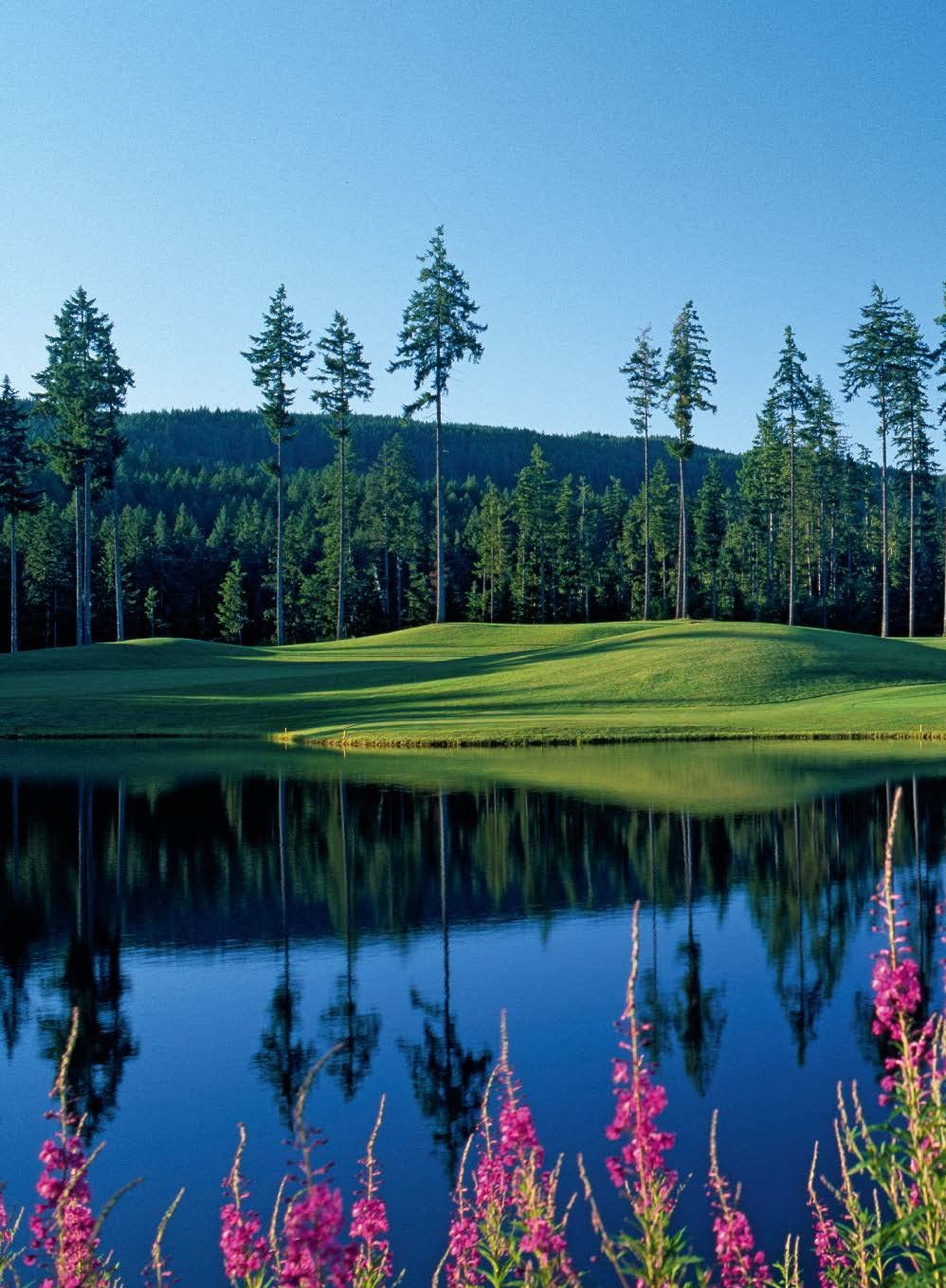 Discover "150 Golf Courses You Need to Play" by Simon & Schuster Inc., featuring serene courses with lush fairways, tall pines, reflective ponds, and blooming wildflowers under clear blue skies—perfect for golf travel enthusiasts.
