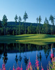 Discover "150 Golf Courses You Need to Play" by Simon & Schuster Inc., featuring serene courses with lush fairways, tall pines, reflective ponds, and blooming wildflowers under clear blue skies—perfect for golf travel enthusiasts.