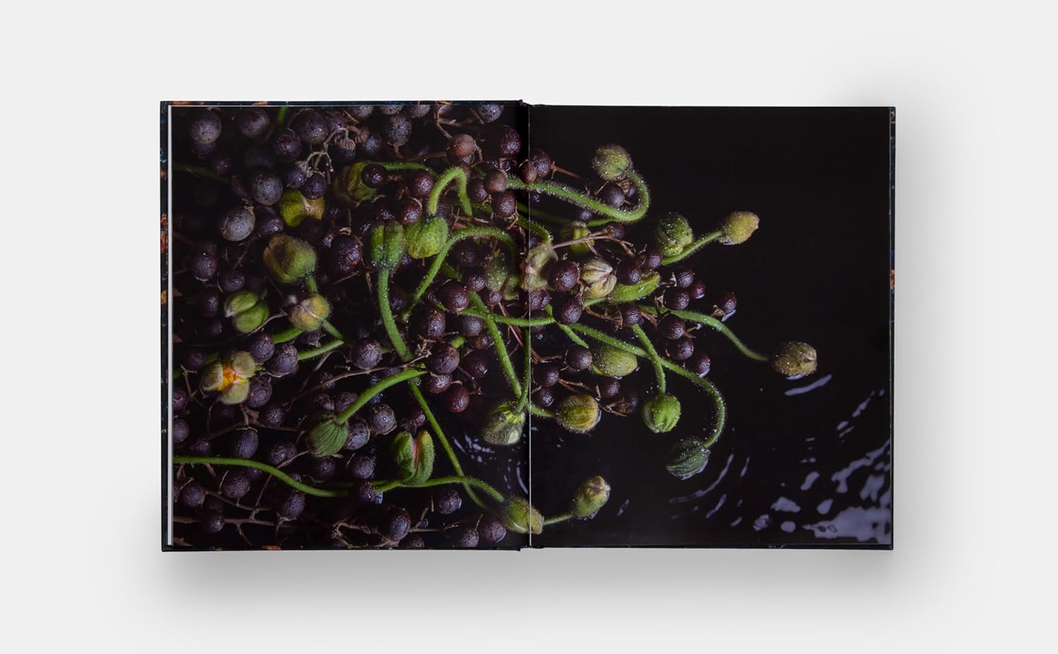 A close-up of green and purple caper berries with stems, artfully arranged atop an open book, evokes the contemporary elegance of Emily Thompson Flowers by Hachette Book Group against a dramatic dark background.