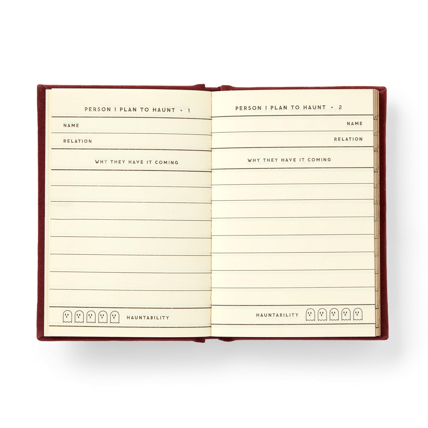 People I Plan to Haunt diary by Hachette with ghost icons—a spooky Halloween gift, perfect for desk or office.