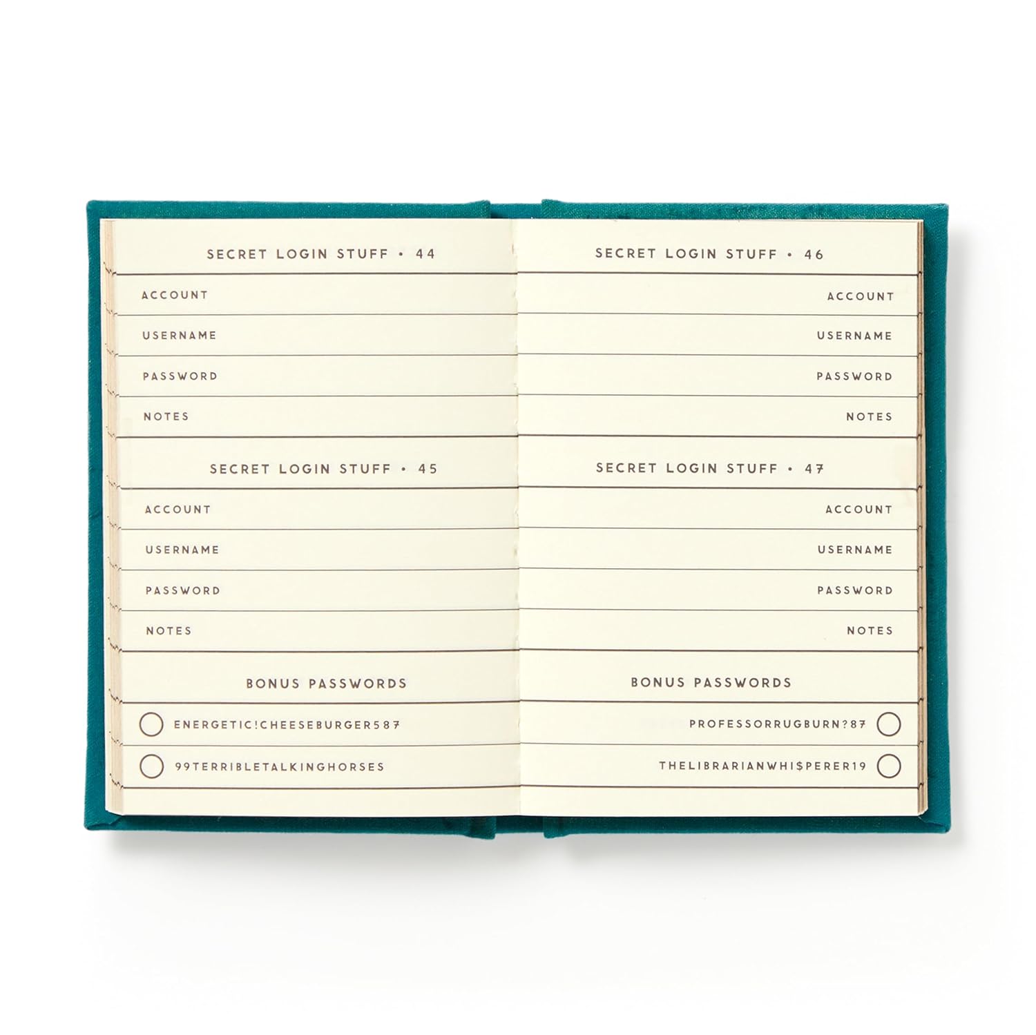 Compact “Definitely Not My Passwords” book with lined pages, Hachette Book Group, for organizing account info securely.