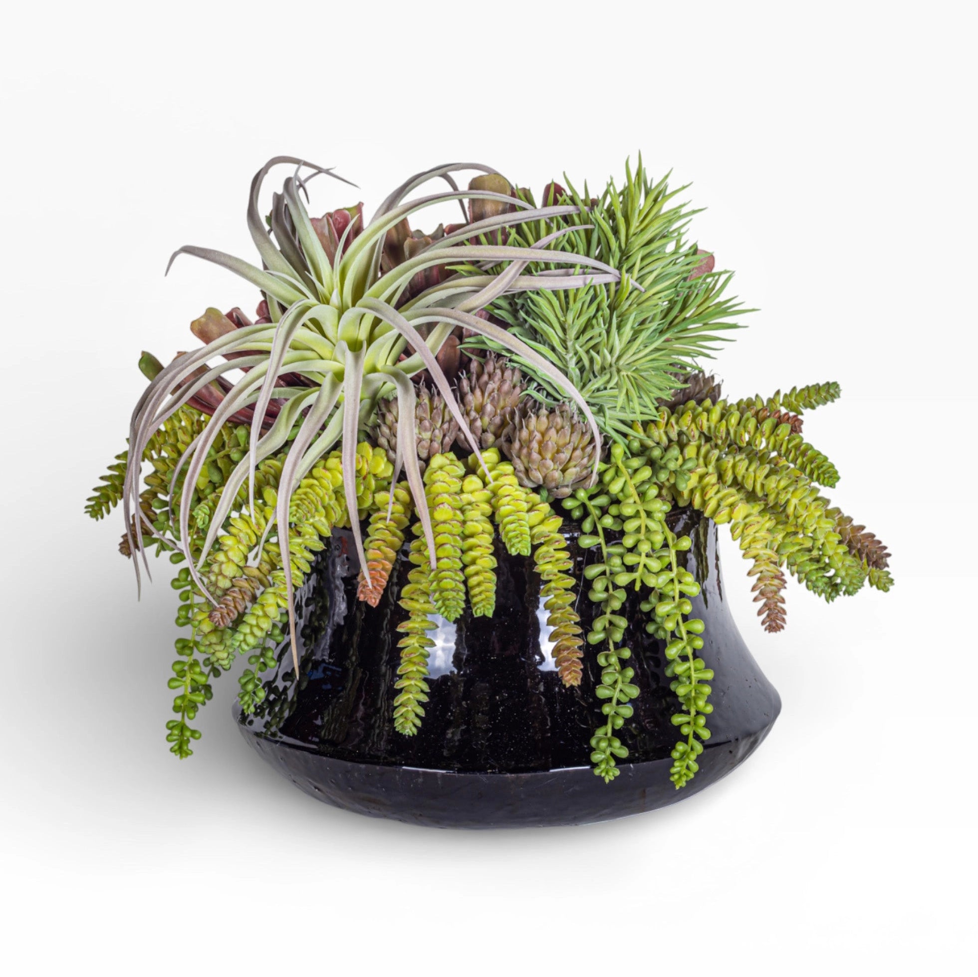 The Faire Tulip Planter is a black, glossy ceramic pot featuring densely packed green and purple succulents, including trailing burro’s tail and spiky air plants, arranged against a white background.