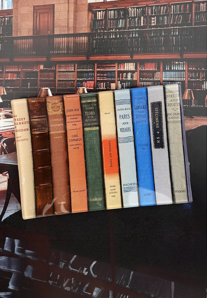 Colorful vintage books upright on a glass tray, styled for Bungalow Furniture &amp; Accessories library decor.
