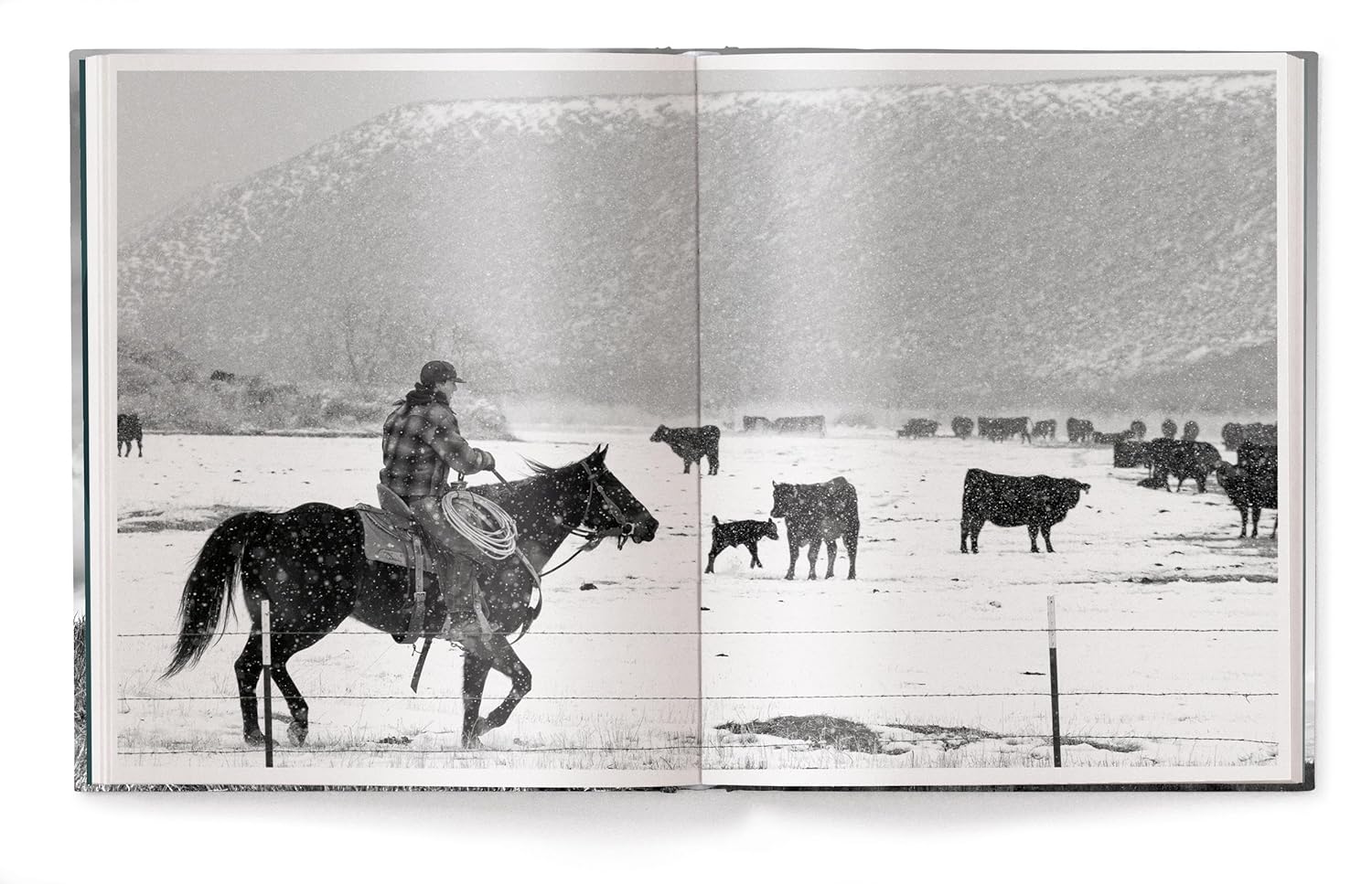A black-and-white photo from "A Ranch Year" by Ingram Book Company shows a cowboy on horseback herding cattle in snowy Wyoming, with mountains in the background—a vivid scene of American West ranch life.