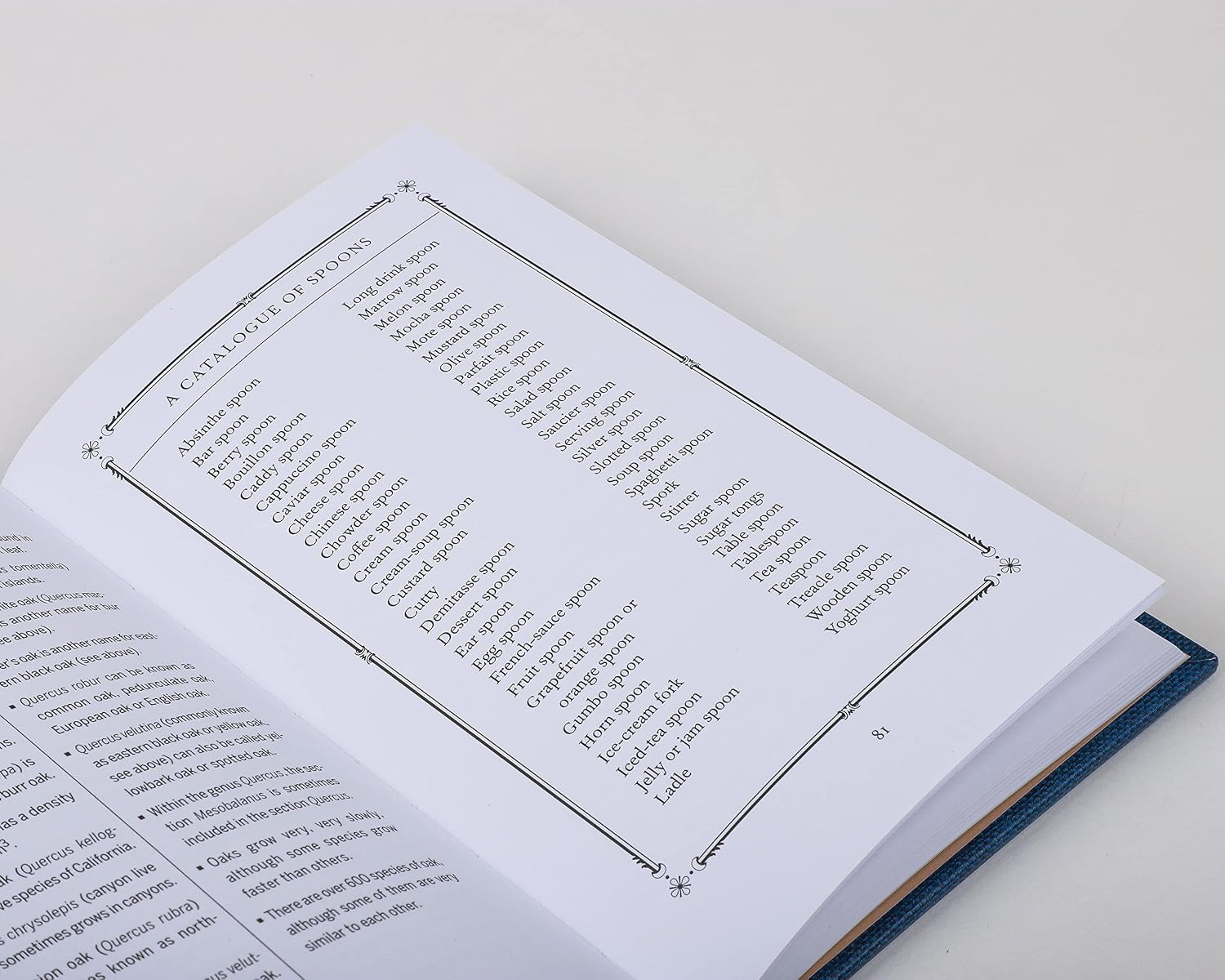 This Book Will Put You to Sleep by Hachette Book Group, a playful hardcover on a cozy nightstand at Bungalow Furniture.