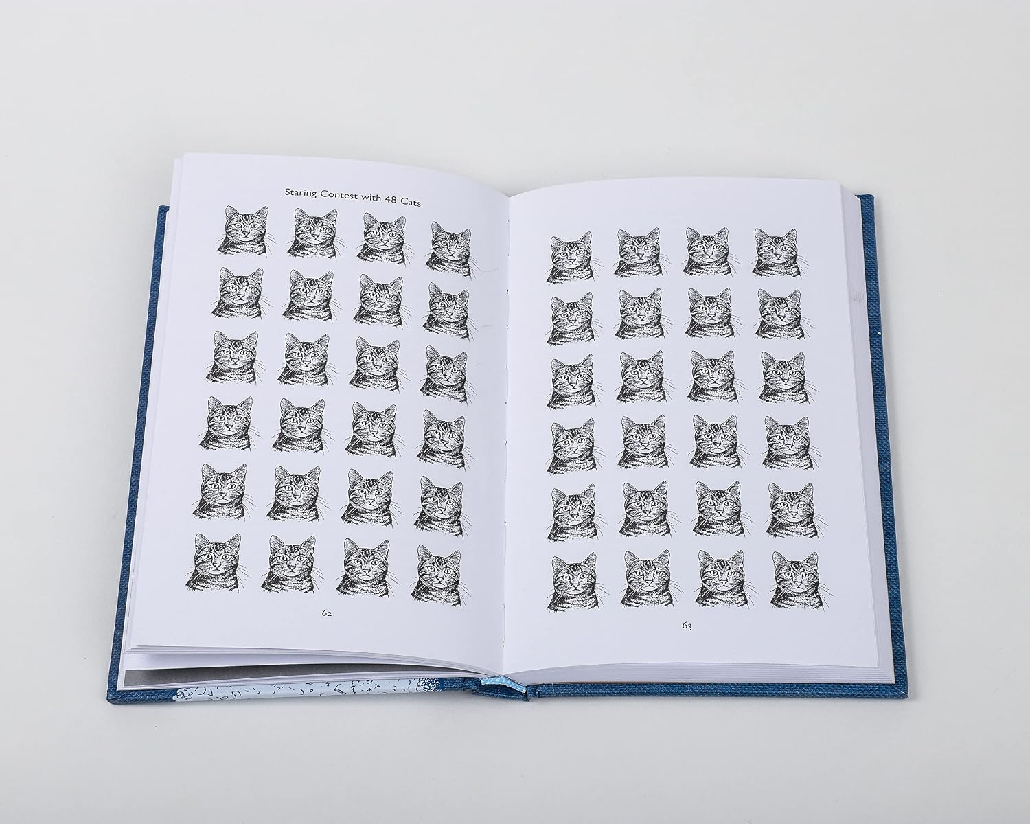 Hardcover book titled This Book Will Put You to Sleep by Hachette, cover features grid with repeating cat illustrations.