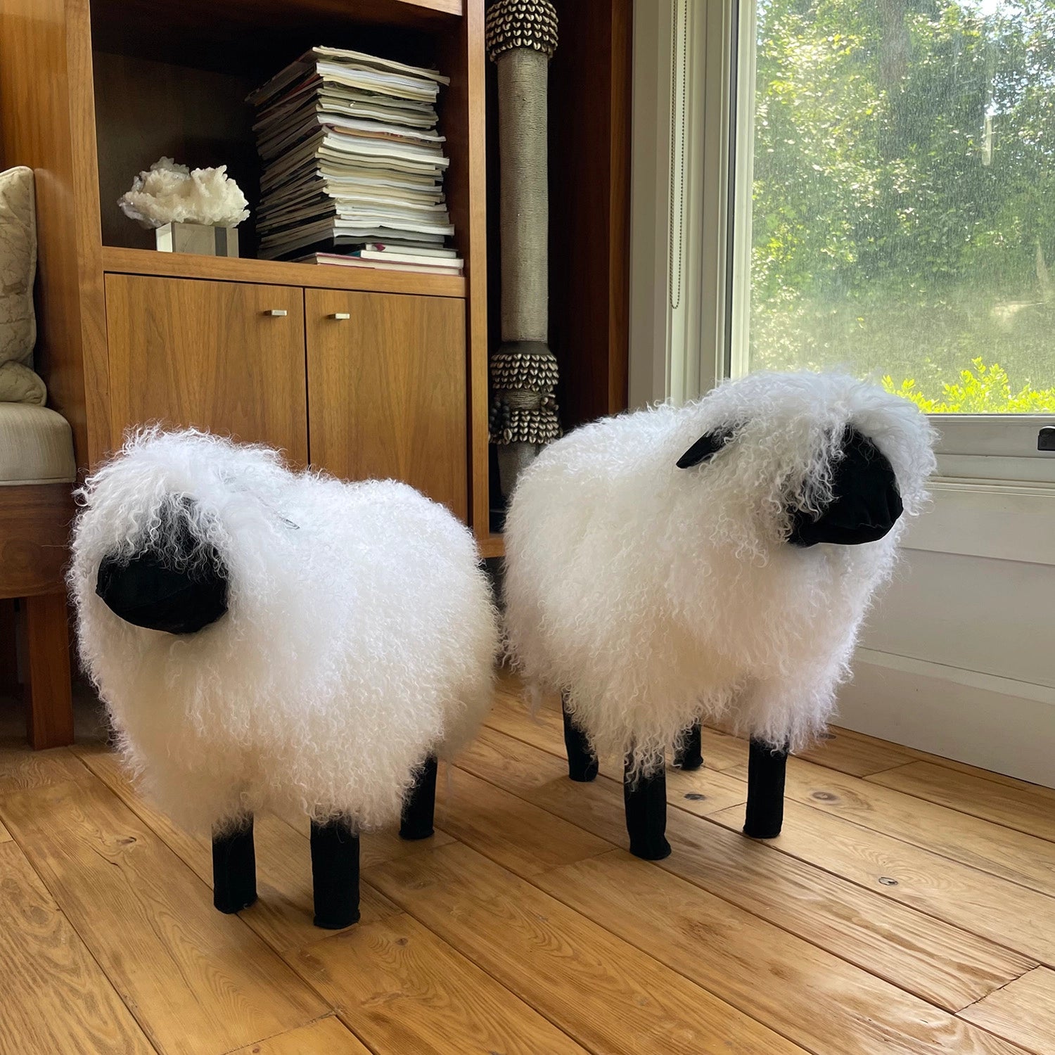 Two Faire Tibetan Lamb Sheep with curly white fur and black faces stand on a wooden floor, adding a charming accent to a cozy nursery bathed in sunlight from a large window.