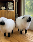 Two Faire Tibetan Lamb Sheep with curly white fur and black faces stand on a wooden floor, adding a charming accent to a cozy nursery bathed in sunlight from a large window.