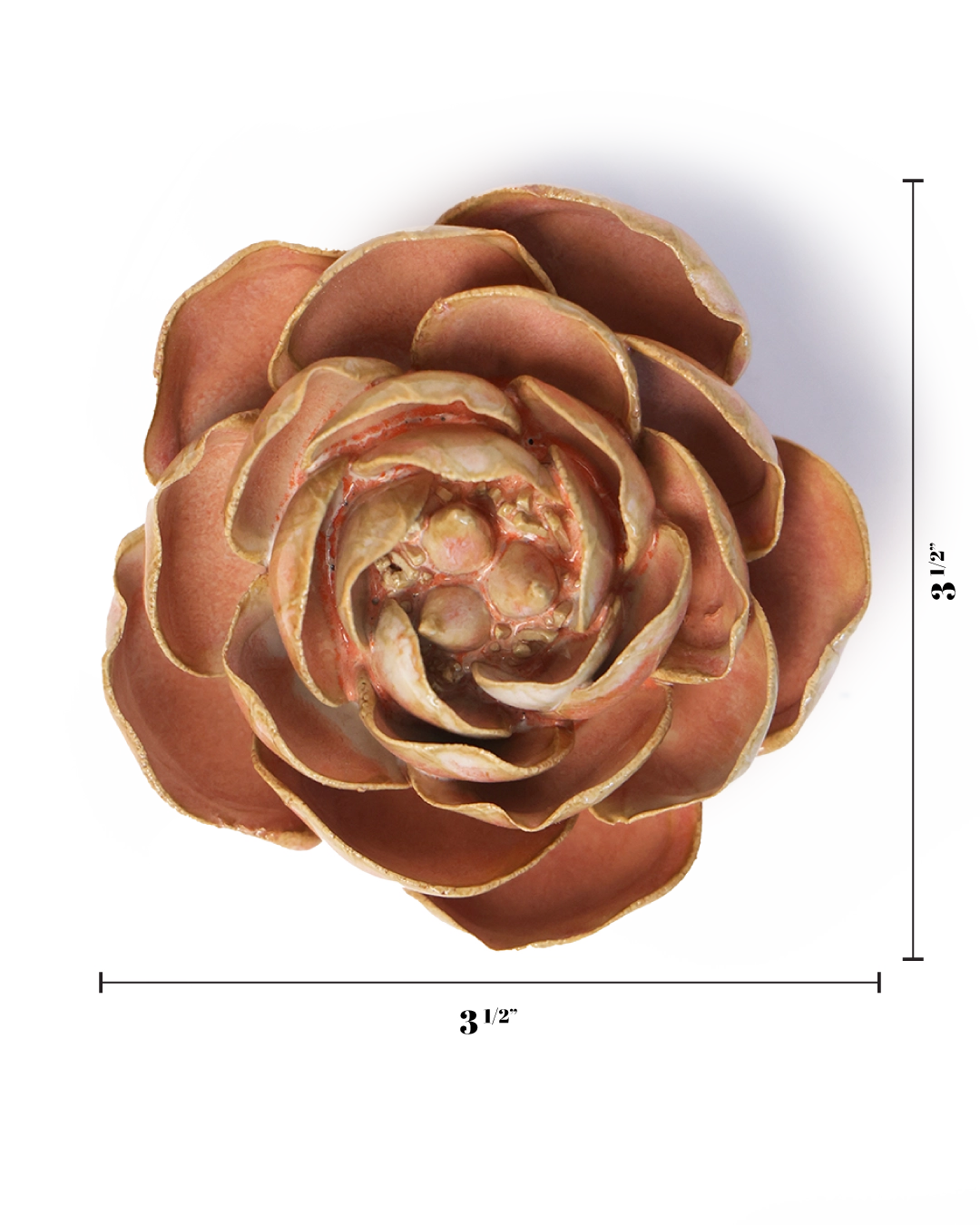 A top-down view of the Chive Ceramics Peach Pink Peony, a 3.5-inch ceramic flower with gold edges on a white background, black measuring lines and numbers—ideal as decorative tabletop or wall decor.
