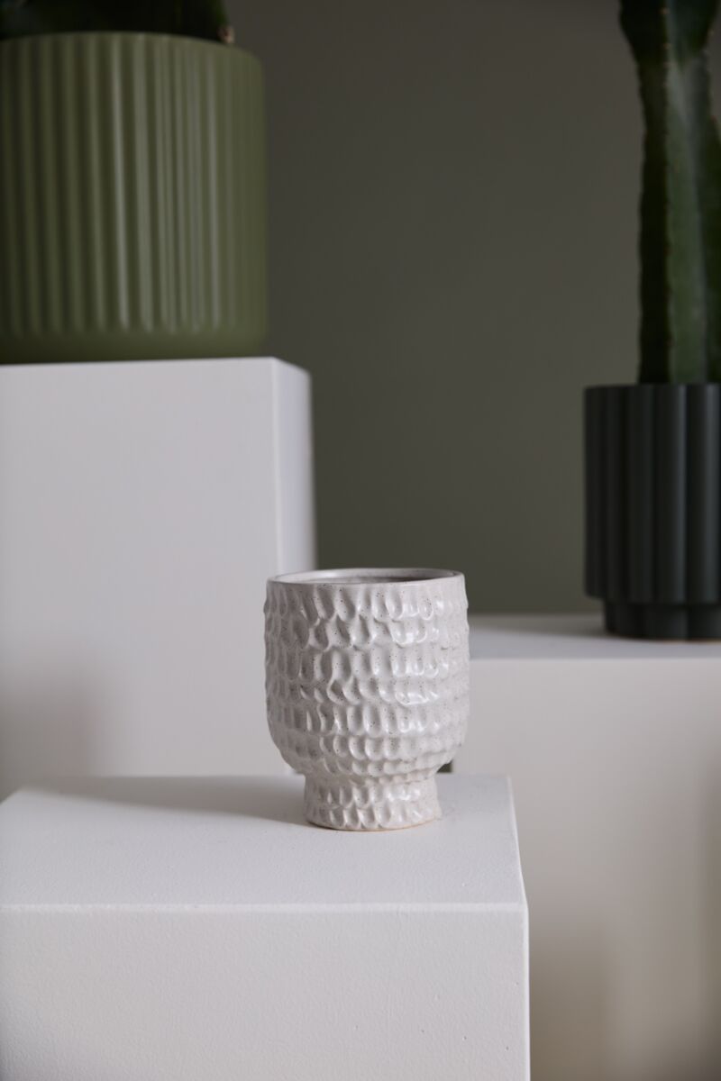 An Adrien Pot by Accent Decor, a textured white ceramic cup, sits on a white pedestal. In the background are green and dark green ribbed ceramic planters with cacti, creating a modern minimalist aesthetic.