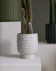 A tall cactus with small offshoots is displayed in the Accent Decor Adrien Pot Large, a textured white ceramic planter on a white pedestal. Two green ribbed plant pots appear partially in the background.