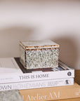 The Whisper Lidded Box by Accent Decor rests atop three books, including "This Is Home" and "Bohémians," on a wooden surface, with a softly blurred background that highlights its charm as a decorative jewelry storage piece.