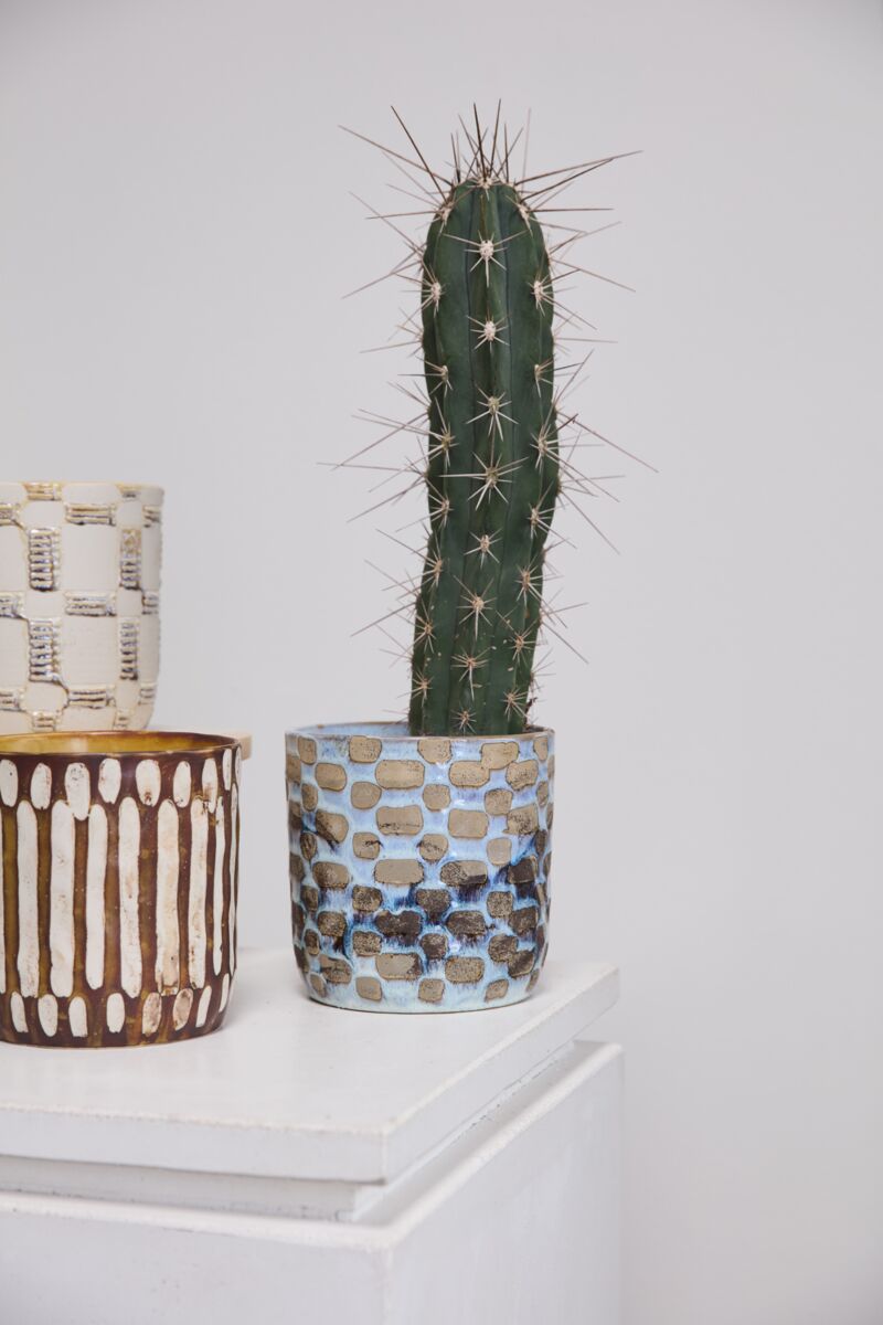 A tall cactus sits in the Accent Decor Anselm Pot Blue, a ceramic planter with blue and beige patterns, displayed on a white pedestal. Two geometric artisanal pots appear partially on the left against a plain white background.